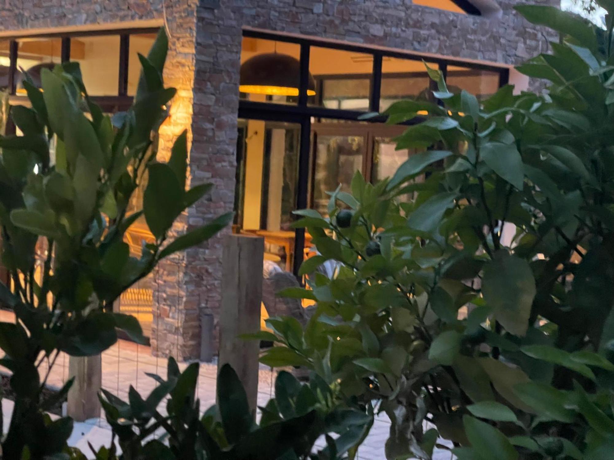 L'Intemporel Saint-Cyr-sur-Mer Ngoại thất bức ảnh